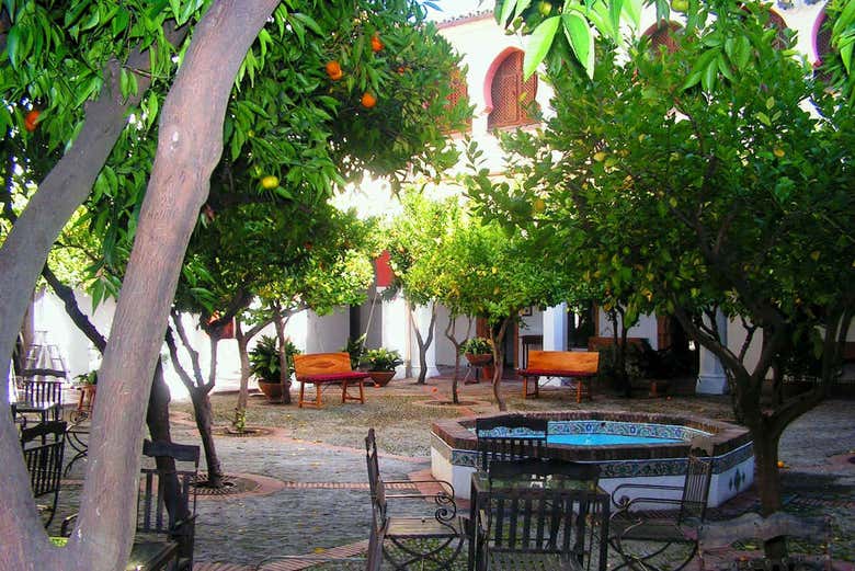 Patios interiores en Guadalupe