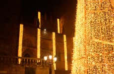 Visite à la découverte des illuminations de Noël de Guadalupe