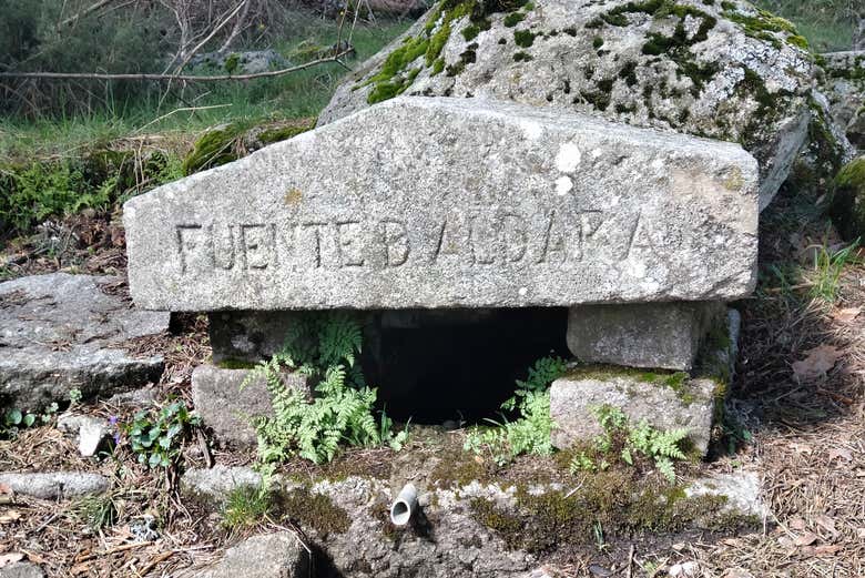 Admirando las fuentes de la Sierra de Guadarrama
