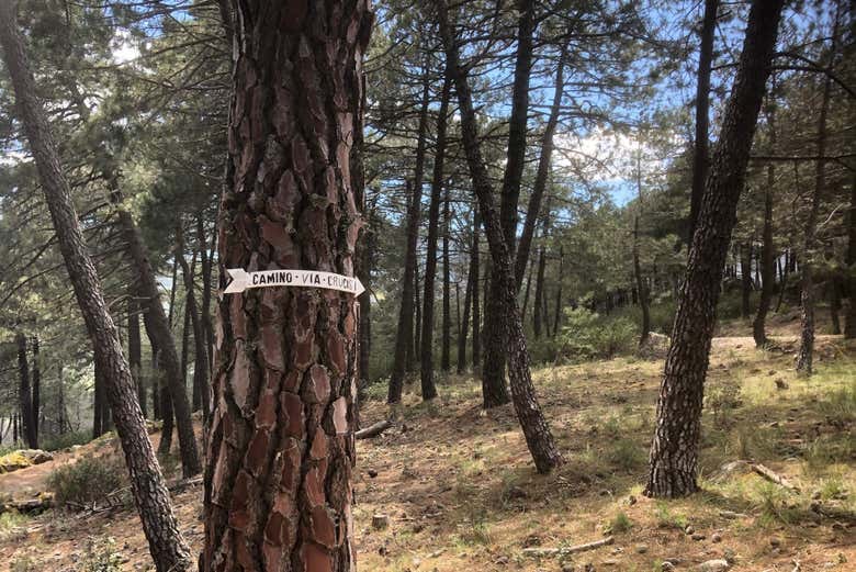Trekking por el Vía Crucis del Valle de los Caídos