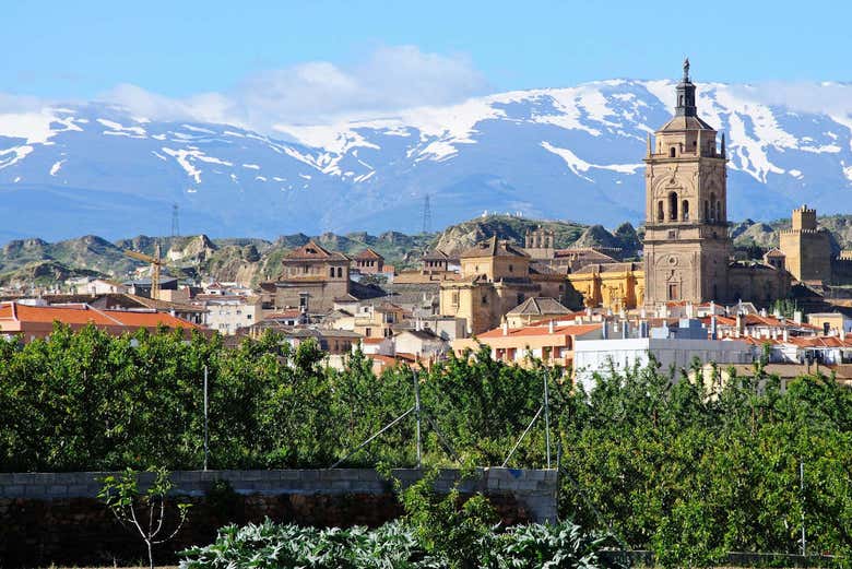 Vista de la Catedral con Sierra Nevada de fondo