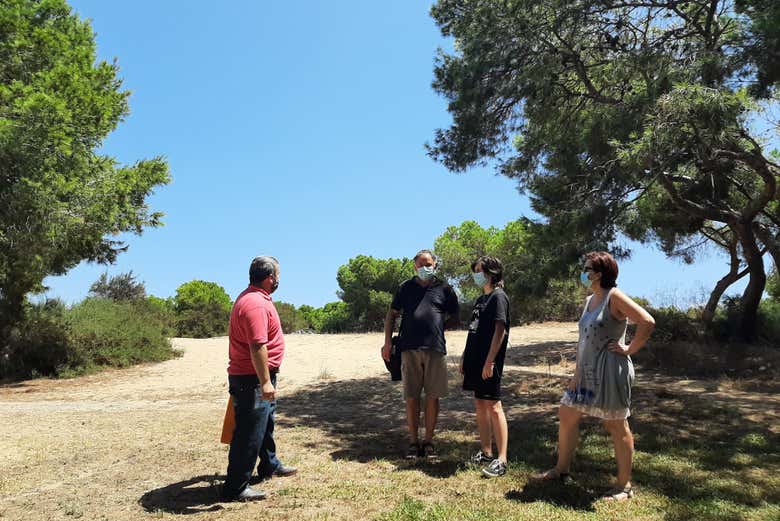 Dunes de Guardamar del Segura
