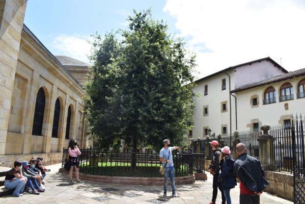 Contemplando el Árbol de Guernica