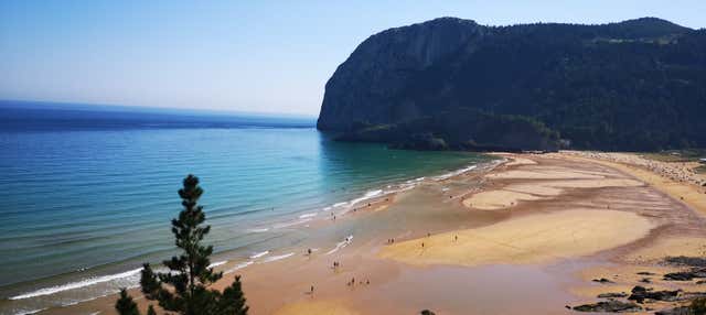 Visite de la réserve d'Urdaibai