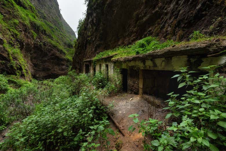 Barranco de Badajoz a Güímar, Tenerife