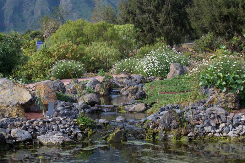 Visitando el Jardín Sostenible