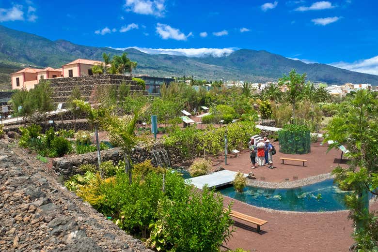 Visitando el Jardín Venenoso