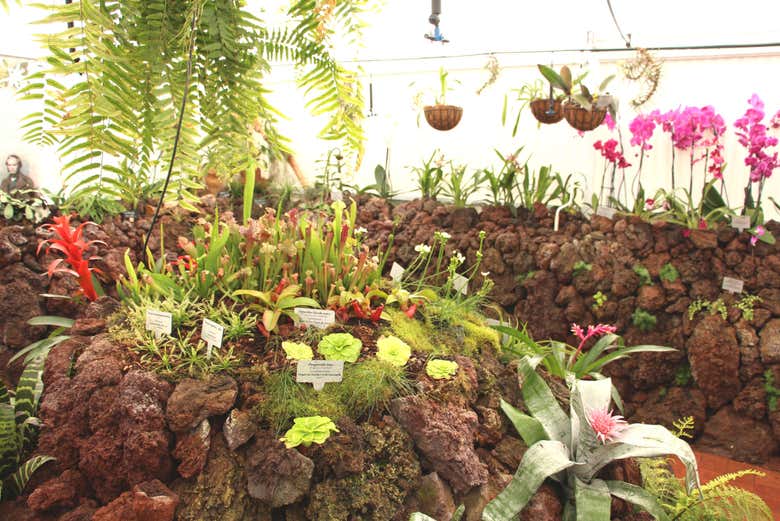 Jardines de las Pirámides de Güímar