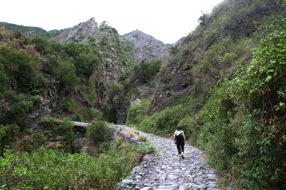 Tour de los misterios y leyendas del Barranco de Badajoz