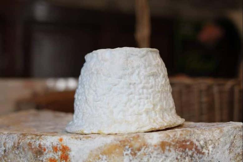 Queijo de Guitiriz