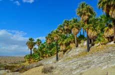 Senderismo por el Valle de las Mil Palmeras
