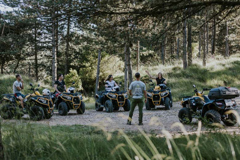 Drive a quad bike through the forests of Haro