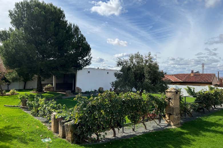 Jardín de las bodegas
