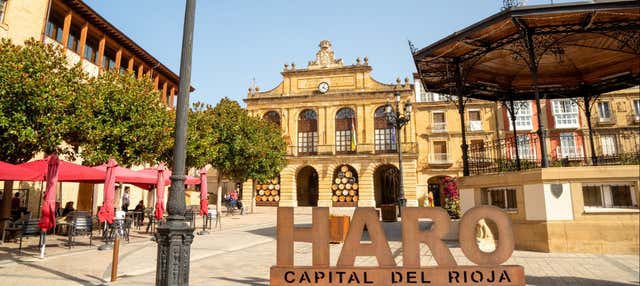 Visita guiada por Haro