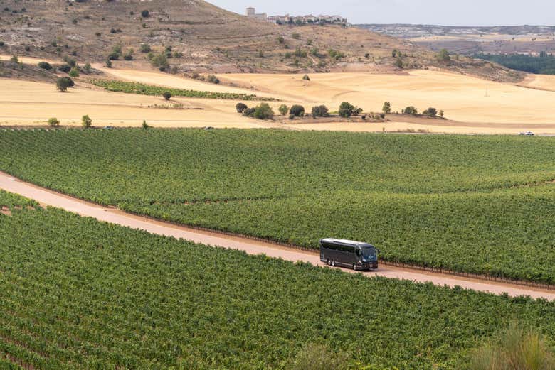 Um ônibus viajando pela Viña Arnáiz