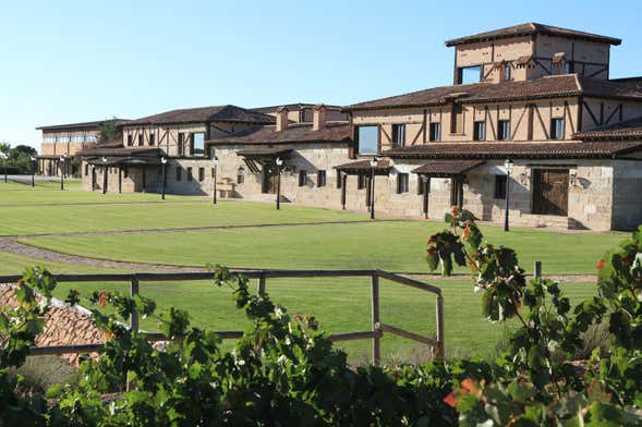 Visita a la bodega Viña Arnáiz