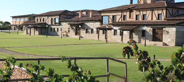 Visita a la bodega Viña Arnáiz