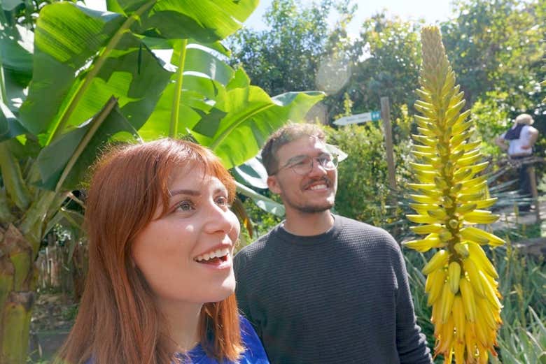 Admirez la végétation du parc