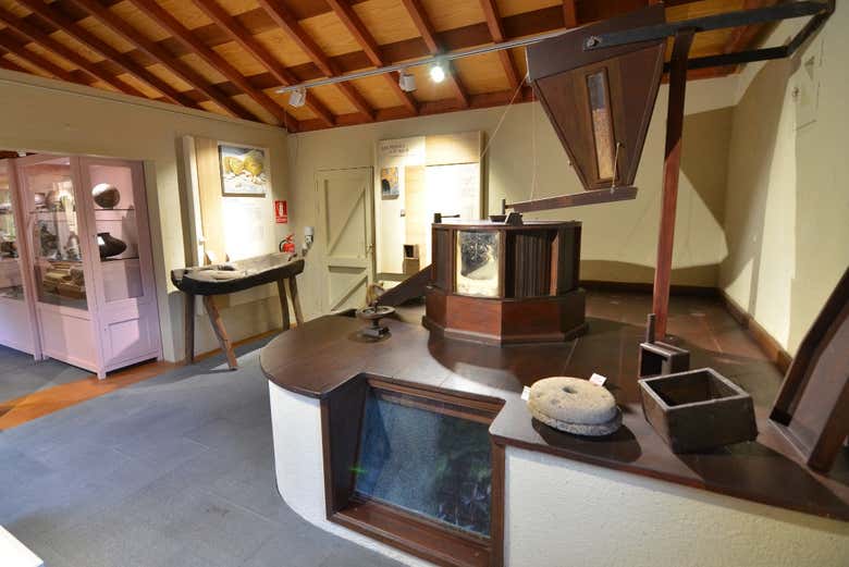 Exposition du musée