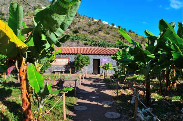 Billet pour le Parc Ethnographique de La Gomera