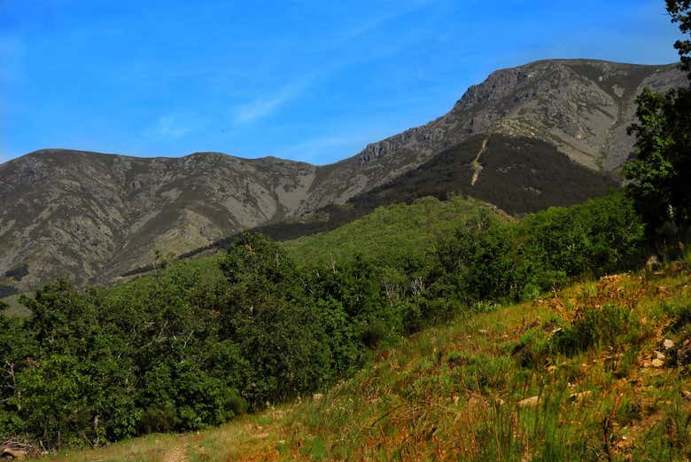 Profitez des paysages