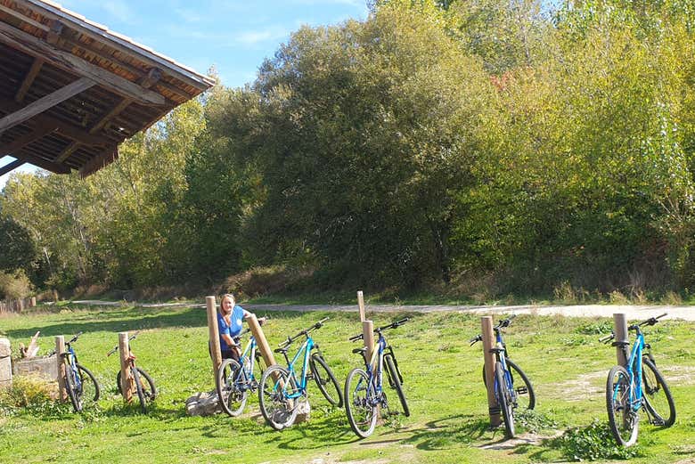 Bicicletas encostadas nos postes de madeira