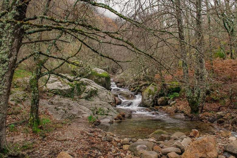 Veréis rincones de gran belleza