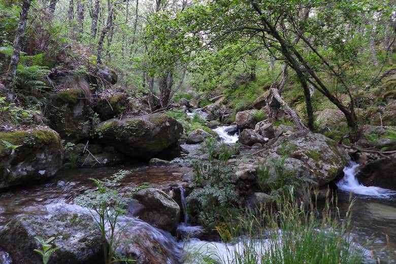 Rio Ambroz
