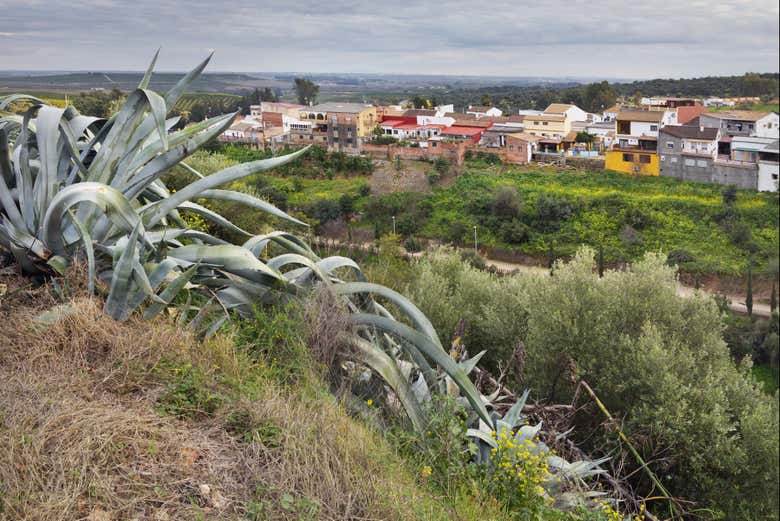 Vista de Hornachuelos