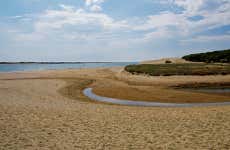Excursión a la isla Saltés en barco