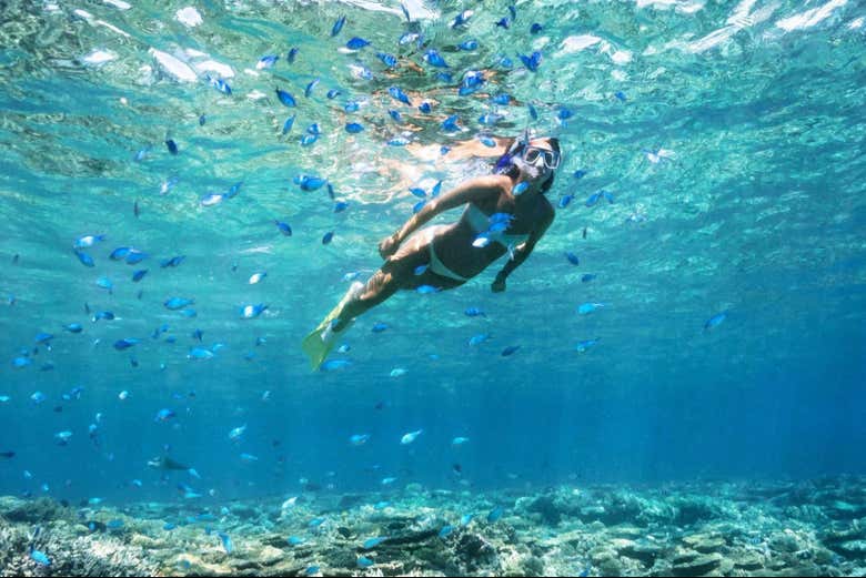 Snorkel in the crystal clear waters of Formentera