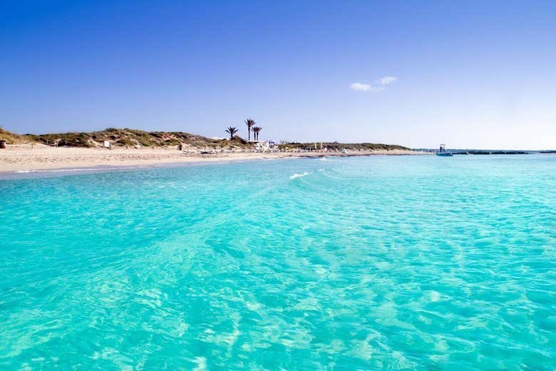 Illetas from the water