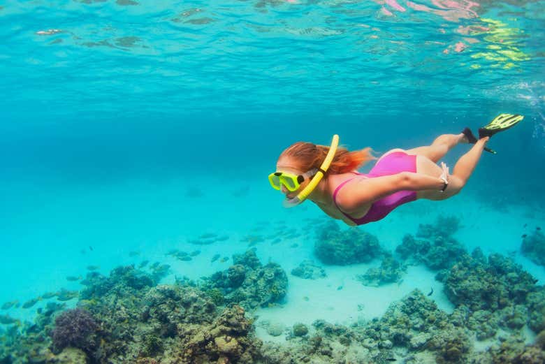 Durante lo snorkeling