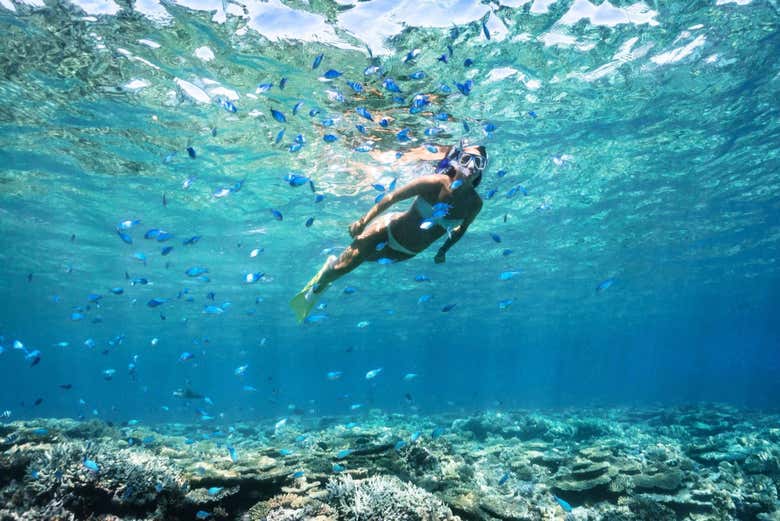 Snorkeling a Cala Saona