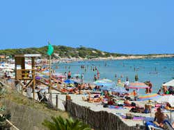 Las Salinas