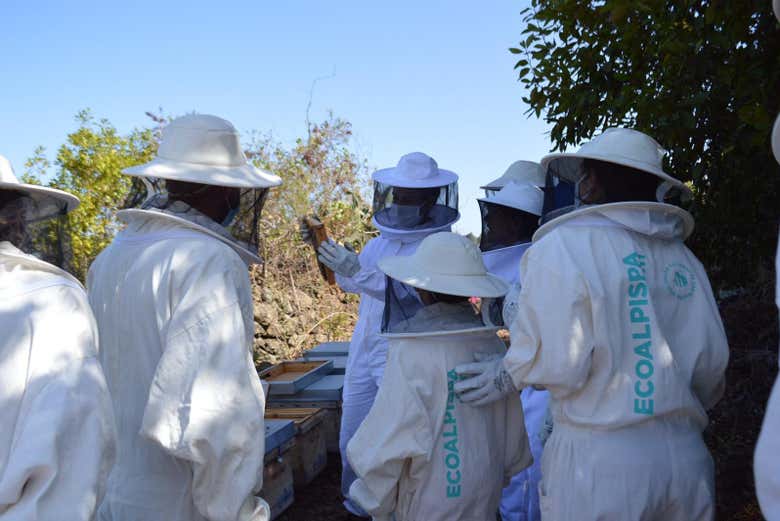 Laboratorio di apicultura nell'arnia di Ecoalpispa 