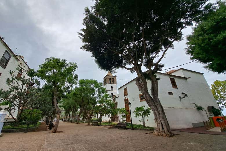 Disfrutando del tour