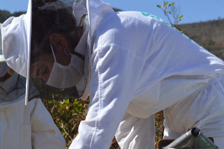 Svelando i segreti del miele a Icod de los Vinos