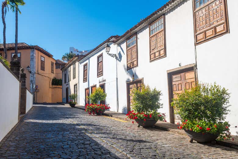 Walking around Icod de los Vinos