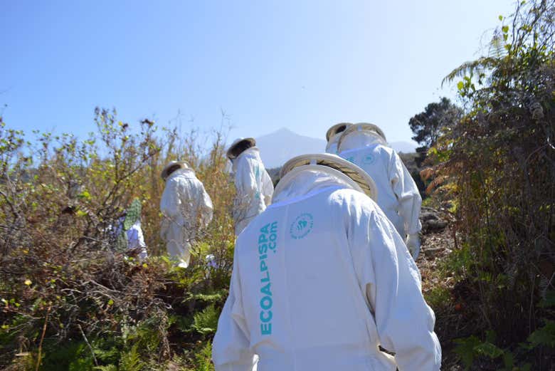 A spasso per il Teide