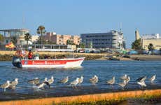 Isla Cristina Boat Tour