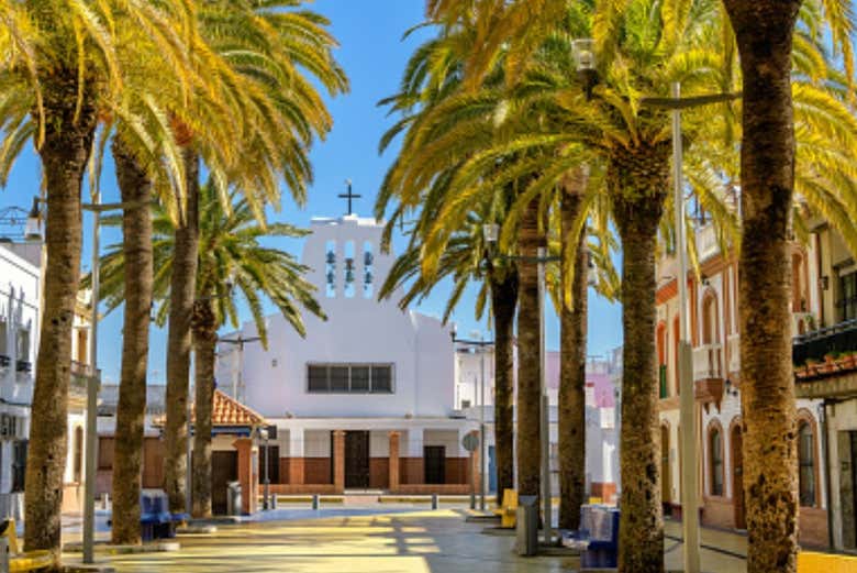 Stroll along the Paseo de las Palmeras