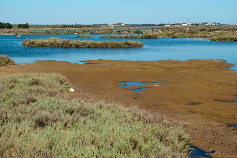 Marais de l'Isla Cristina
