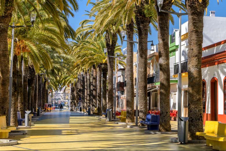 Promenade des Palmiers