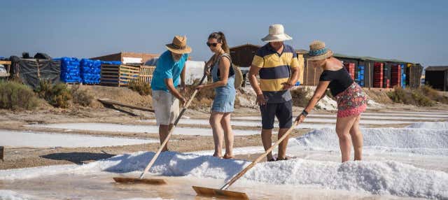 Visita guiada por las salinas del Alemán