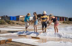 Visite guidée des salines d'El Alemán