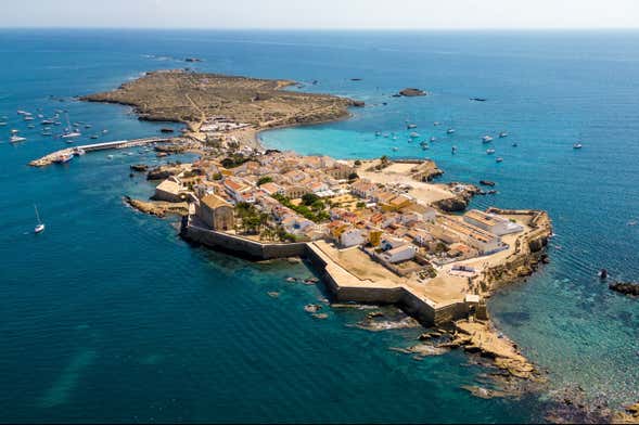 Visite guidée dans Tabarca