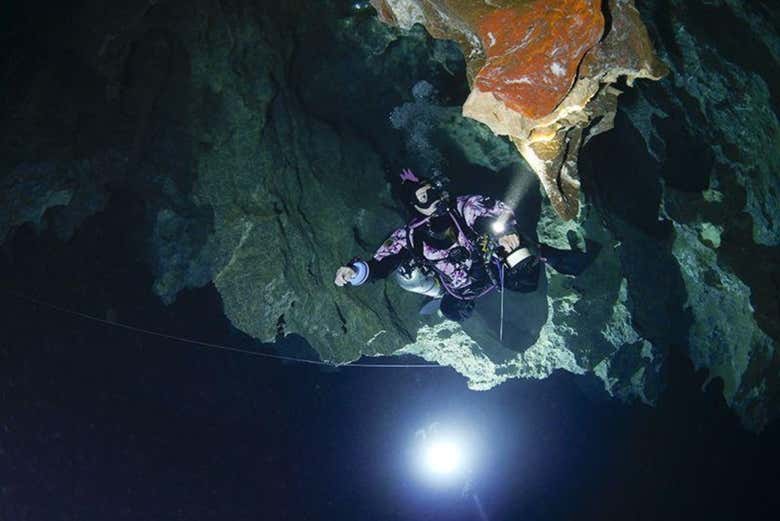 Veréis los secretos marinos de Isla Plana