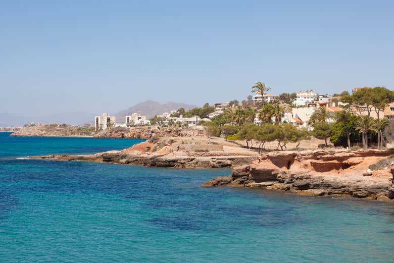 Panorámica de la costa de Isla Plana
