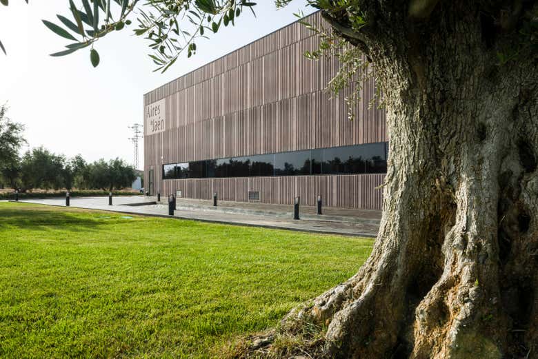 Facilities of the Badenes estate - Aires de Jaén